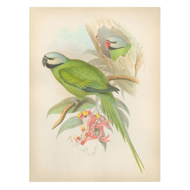Retro obrazy Ilustracja w stylu vintage Ptaki tropikalne II