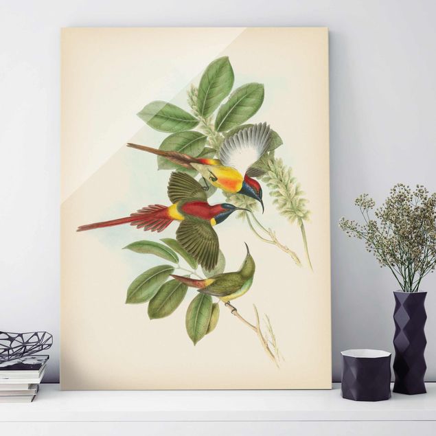 Dekoracja do kuchni Ilustracja w stylu vintage Ptaki tropikalne III