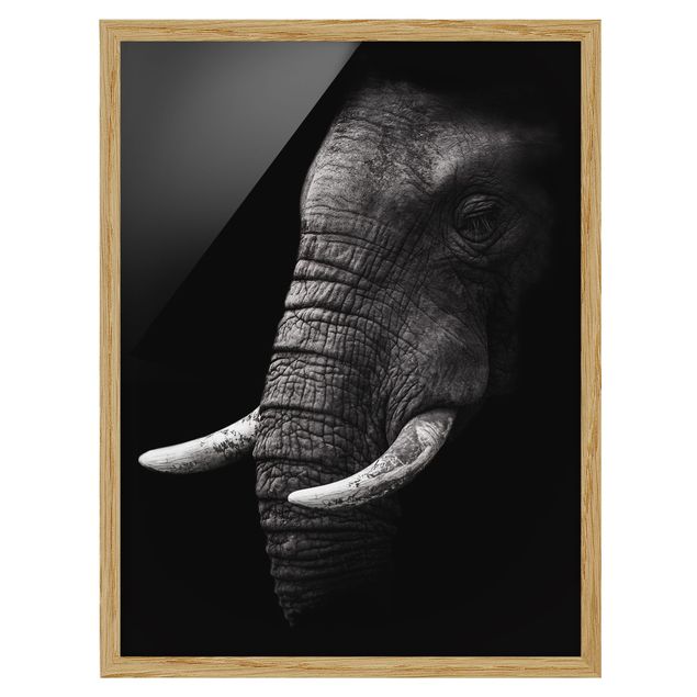 Obrazy w ramie do korytarzu Portret ciemnego słonia