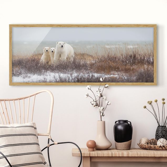 Obrazy miś Niedźwiedzica polarna i jej młode