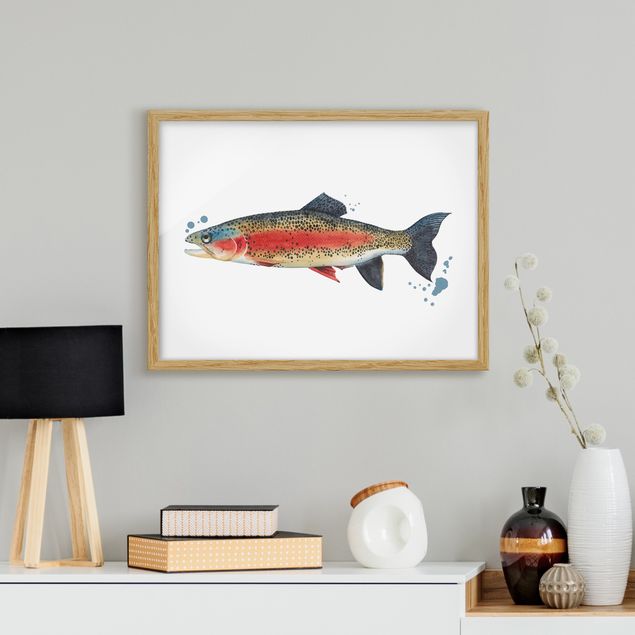 Obrazy z rybami Złapanie koloru - pstrąg