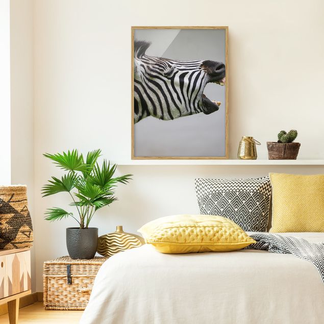 Obrazy w ramie do łazienki Rycząca Zebra