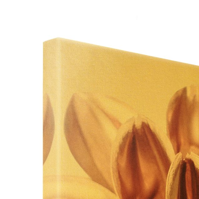 Złoty obraz na płótnie - Dahlia w kolorze miedzianego złota