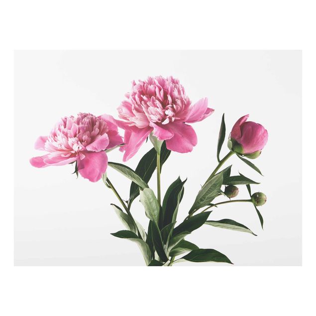 Obrazy do salonu nowoczesne Kwiaty i pąki różowe na białym tle