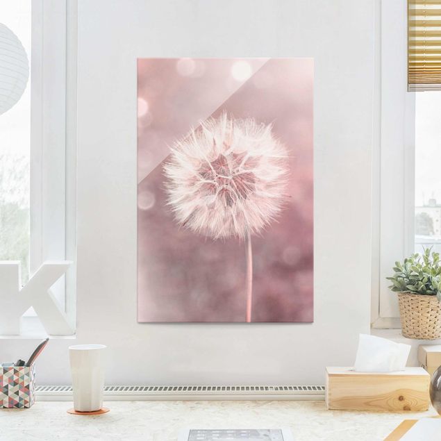 Obrazy na szkle dmuchawce dandelion bokeh różowy