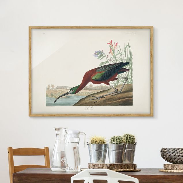 Dekoracja do kuchni Tablica edukacyjna w stylu vintage Brązowy ibis