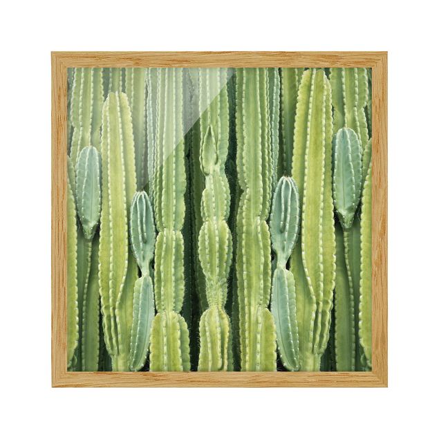 Obrazy w ramie do kuchni Ściana kaktusów