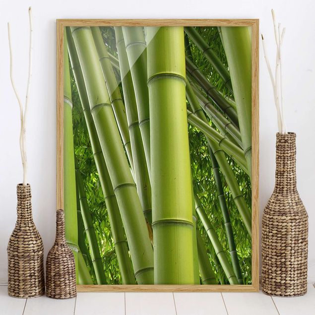 Dekoracja do kuchni Drzewa bambusowe Nr 2