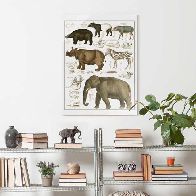 Obrazy zwierzęta Tablica edukacyjna w stylu vintage Słonie, zebry i nosorożce