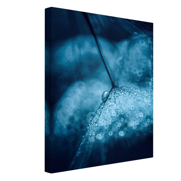 Obrazy na płótnie dmuchawce Błękitny mniszek lekarski w deszczu