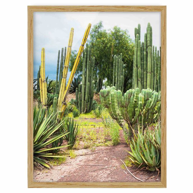 Obrazy w ramie do korytarzu Krajobraz z kaktusami