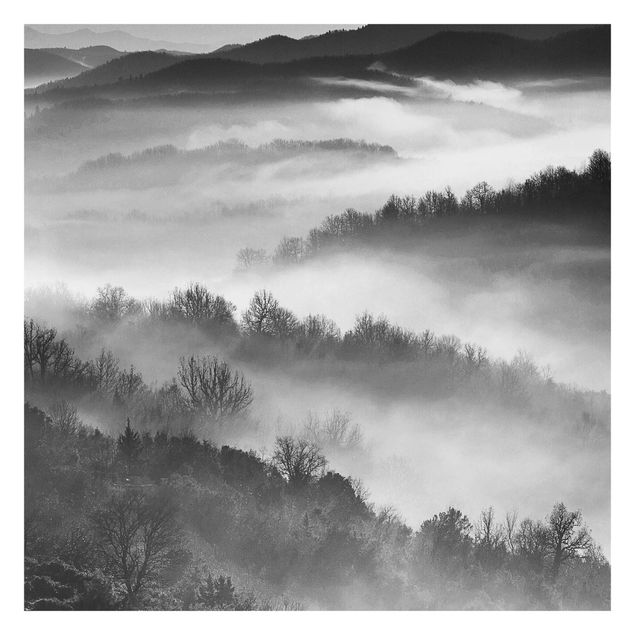 Fototapety Sunset Fog czarno-biały