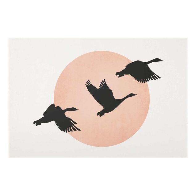 Obrazy na szkle zwierzęta Ptaki na tle różowego słońca III