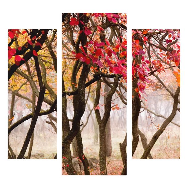 Obrazy na ścianę krajobrazy Japonia jesienią