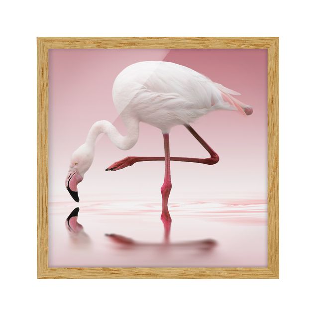 Obrazy w ramie do kuchni Taniec flamingów