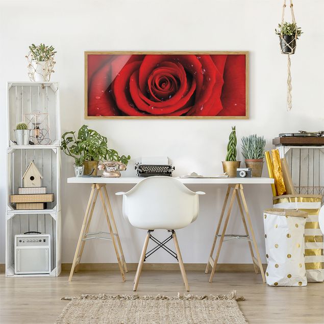 Obrazy w ramie do łazienki Róża czerwona z kroplami wody