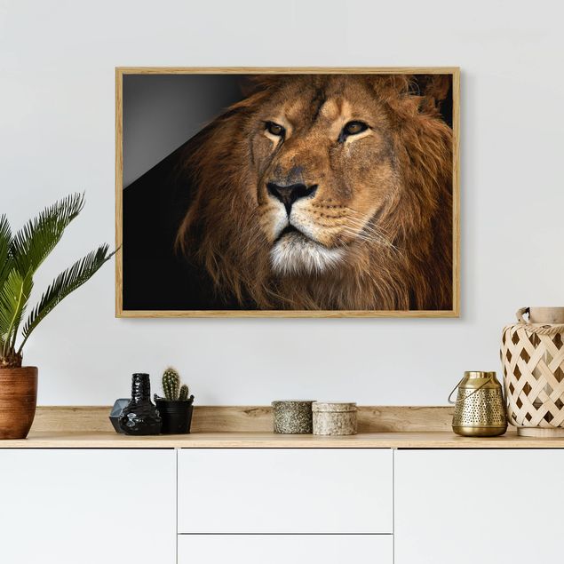 Obrazy w ramie do korytarzu Widok lwa