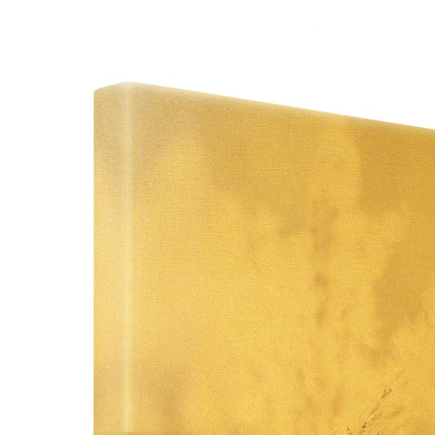 Złoty obraz na płótnie - Trawa pampasowa w cieniu