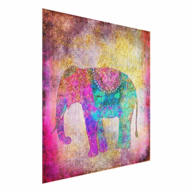 Obrazy na szkle zwierzęta Kolorowy kolaż - Słoń indyjski