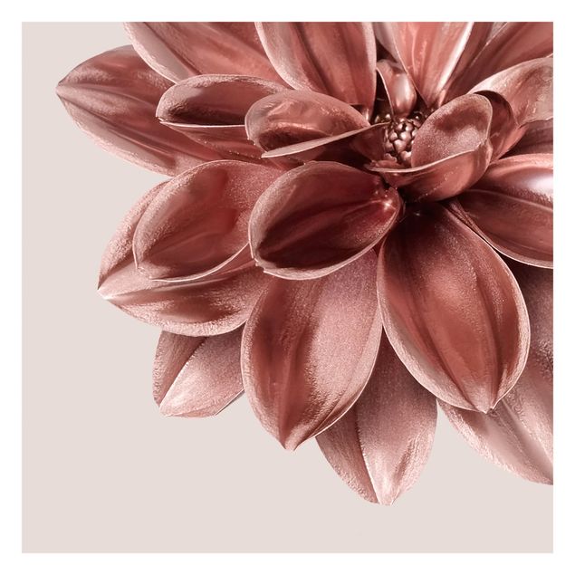 Fototapeta Dahlia Flower Rose Złoto Metallic Detail