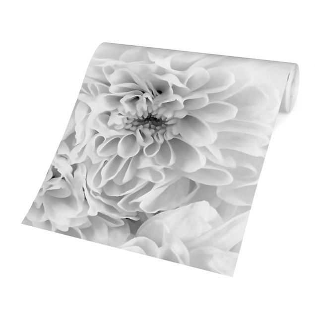 Fototapety Dahlia Morze kwiatów czarno-białe