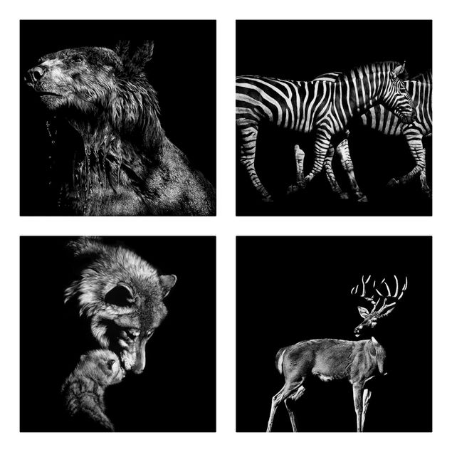 Obrazy nowoczesny Dzikie zwierzęta przed czarnym zestawem I