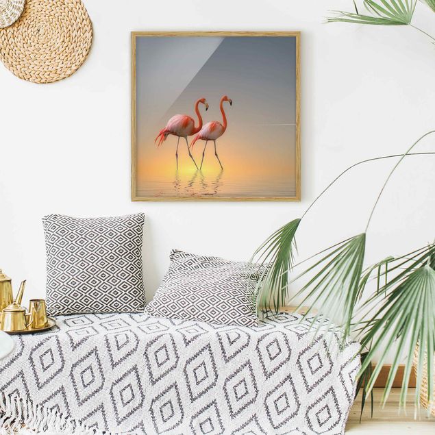 Obrazy w ramie do korytarzu Miłość flaminga