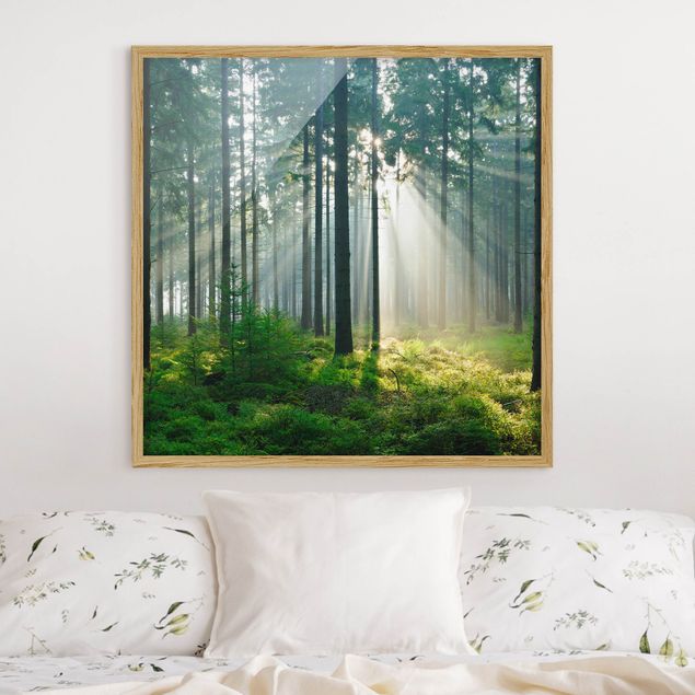 Obrazy w ramie krajobraz Świetlany las