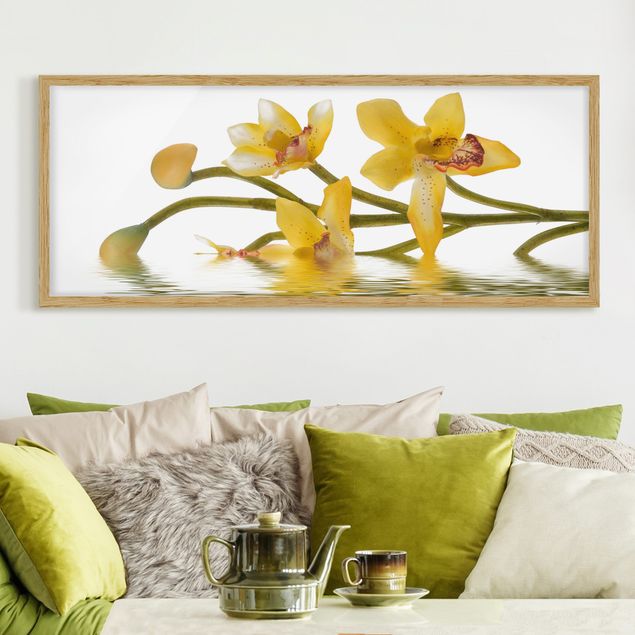 Obrazy orchidea Saffron Orchid Waters