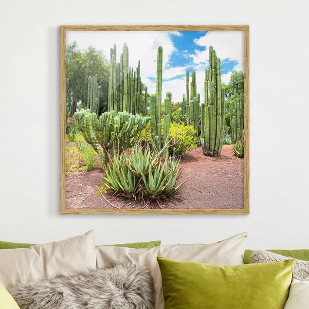 Obrazy w ramie artystyczne Krajobraz z kaktusami