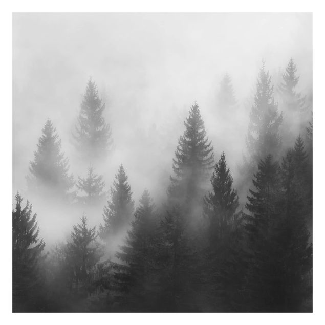 Fototapeta - Las iglasty w mgle, czerń, biel