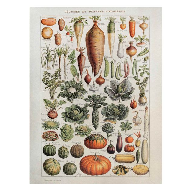 Zielony obraz Tablica edukacyjna w stylu vintage Warzywa