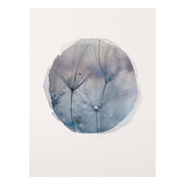 Obrazy nowoczesny Akwarele - Niebieskie pióra w deszczu