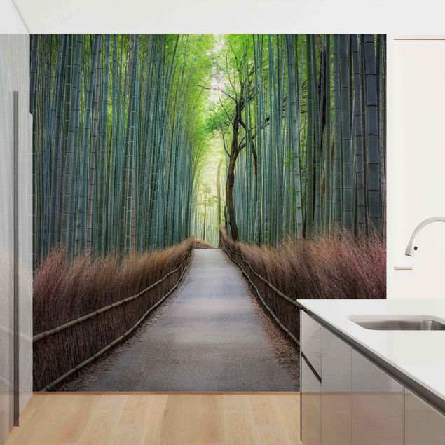 Tapety Ścieżka przez bambus