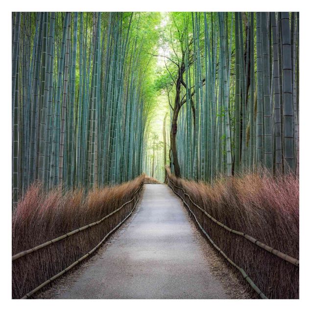 Fototapeta - Ścieżka przez bambus