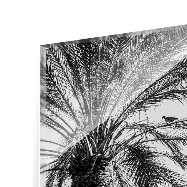 Obrazki czarno białe Palmy o zachodzie słońca, czarno-białe