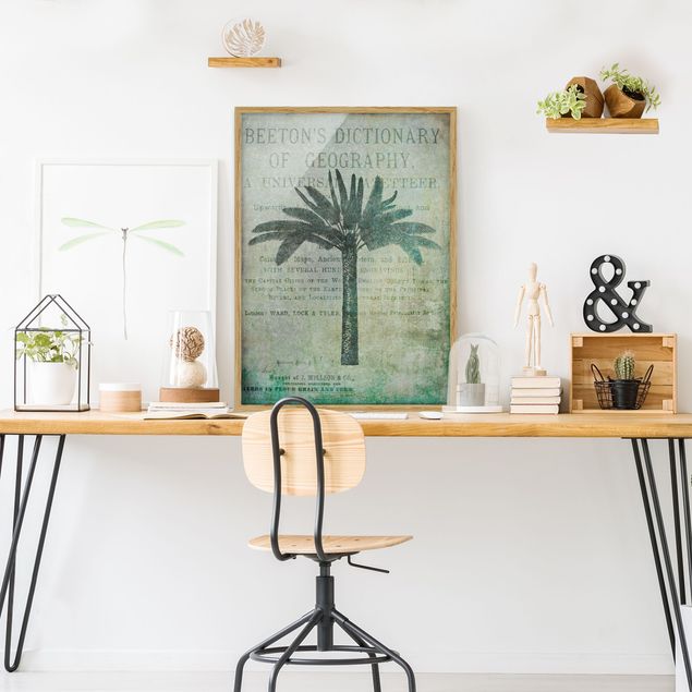 Obrazy w ramie do korytarzu Kolaż w stylu vintage - antyczne drzewo palmowe