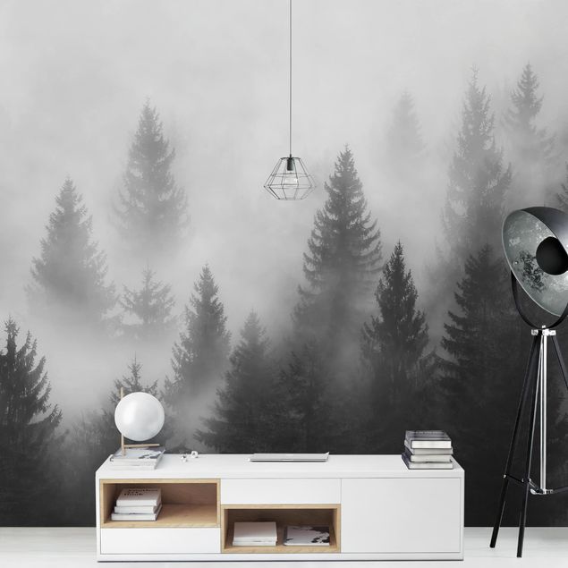 Fototapety Las iglasty w mgle, czerń, biel