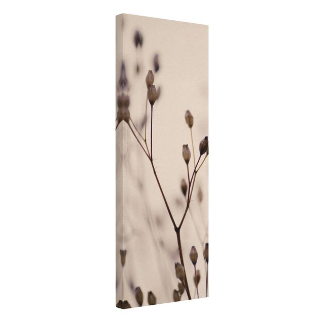 Obrazy drukowane na płótnie Ciemne pąki na gałęzi dzikiego kwiatu