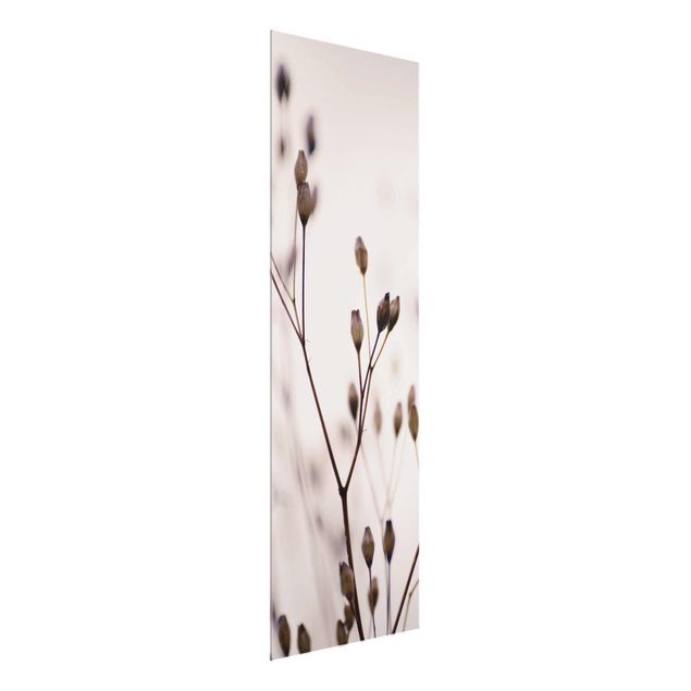 Obrazy nowoczesny Ciemne pąki na gałęzi dzikiego kwiatu