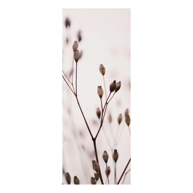 Obrazy motywy kwiatowe Ciemne pąki na gałęzi dzikiego kwiatu
