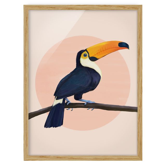 Obrazy w ramie do kuchni Ilustracja ptak tukan malarstwo pastelowe