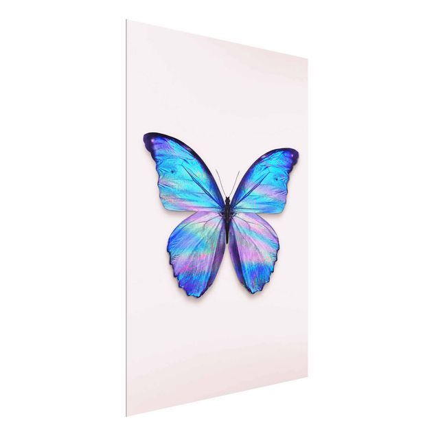 Obrazy motyl Holograficzny motyl