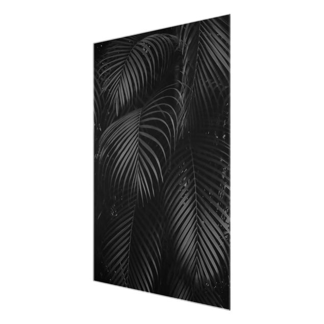Andrea Haase obrazy  Czarne liście palmy