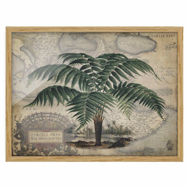 Obrazy w ramie do łazienki Kolaż w stylu vintage - drzewo palmowe i mapa świata