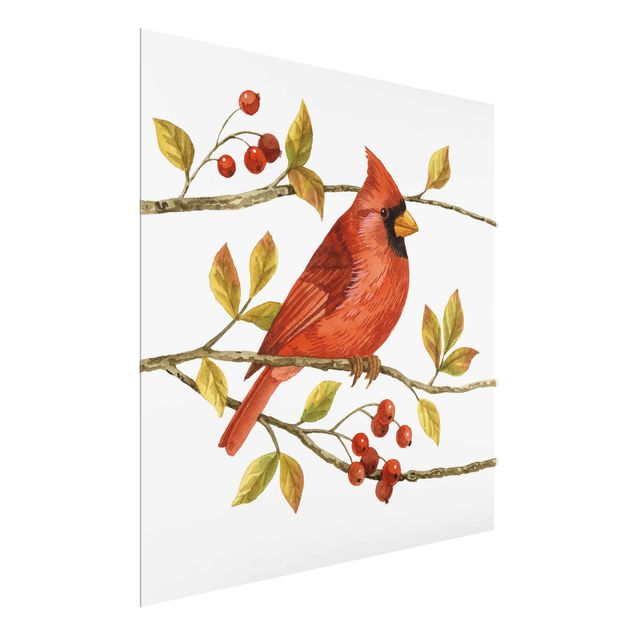 Nowoczesne obrazy do salonu Ptaki i jagody - Czerwony kardynał