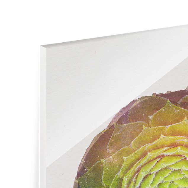 Obrazy nowoczesny Akwarele - Mandala sukulent