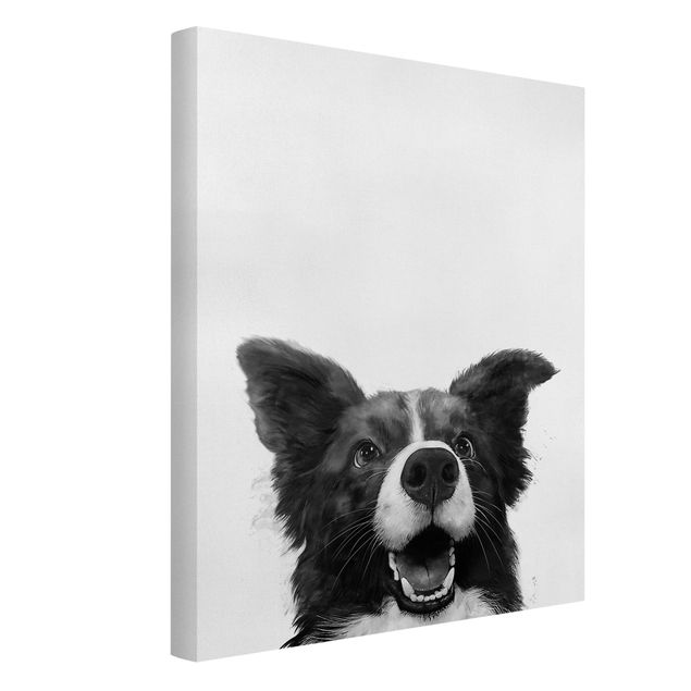 Nowoczesne obrazy Ilustracja pies Border Collie czarno-biały malarstwo