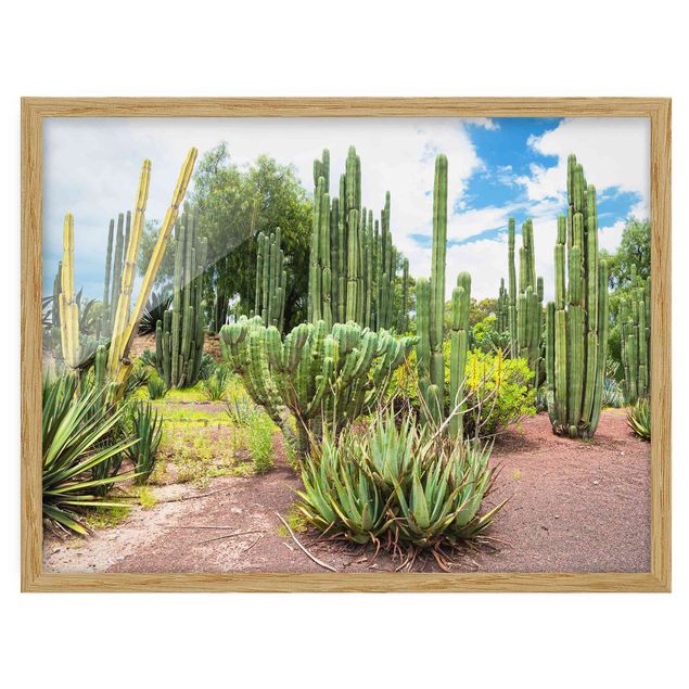 Obrazy w ramie do korytarzu Krajobraz z kaktusami