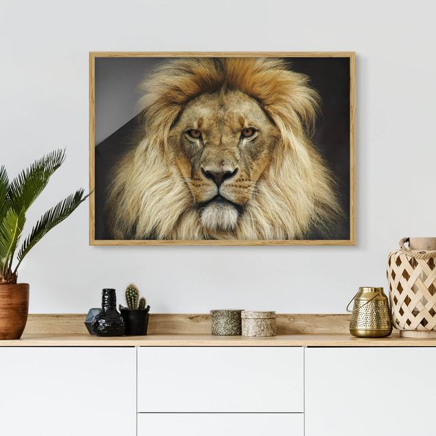 Obrazy w ramie do korytarzu Mądrość lwa